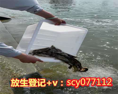 重庆放生的鱼一般在哪里买的到，重庆金佛寺水陆法会之供上堂