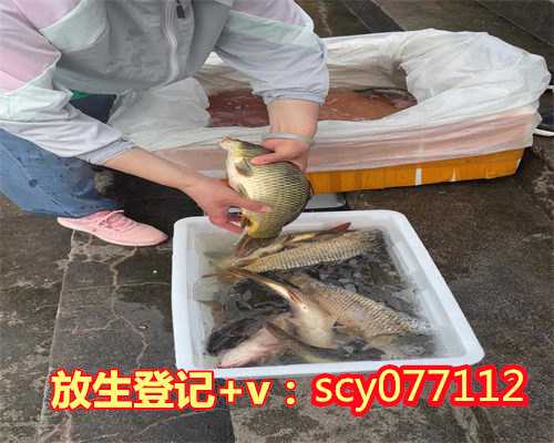 芜湖简单放生咒语，芜湖放生的时候鱼死了，芜湖市放生护生协会