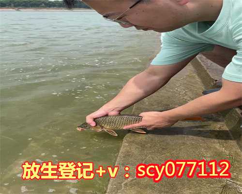 重庆放生的河边，重庆市华岩文教基金会放生两万鱼苗回归自然