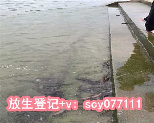 武汉哪里有放生鱼的，2023最适合放生的日子
